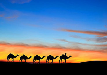 2 noches de paseo en camello en Merzouga